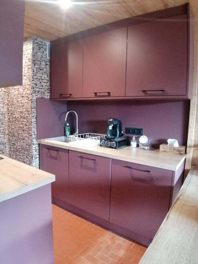 Coeur De Montagne Apartment